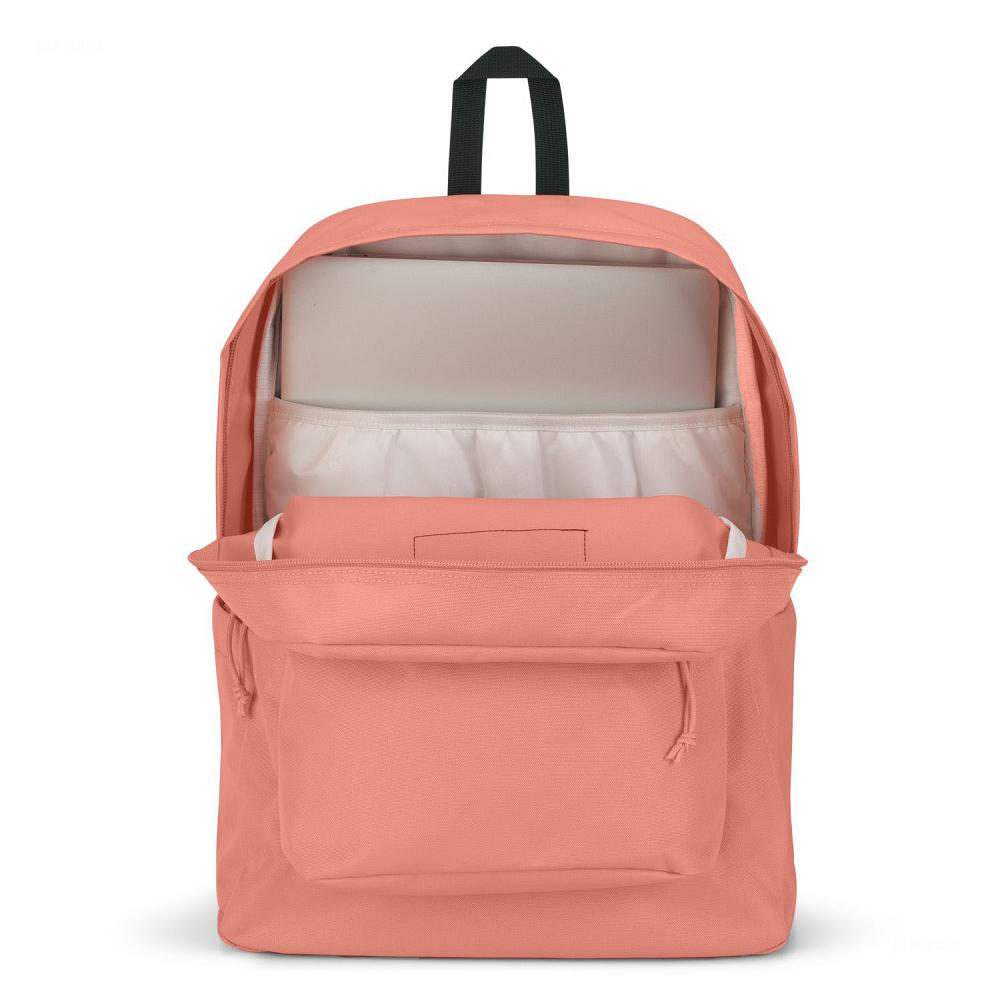 Sac à Dos Ordinateur JanSport SuperBreak? Plus Rose | EWB-09970901